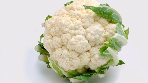 病毒性肺炎可以吃哪些食物