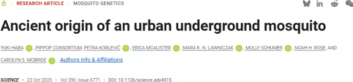 普林斯顿大学研究重写“地铁蚊”进化史：人咬型库蚊或起源于千年前的古埃及