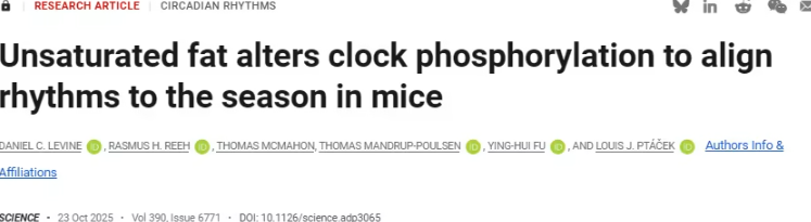 一口零食或许在“欺骗”你的生物钟