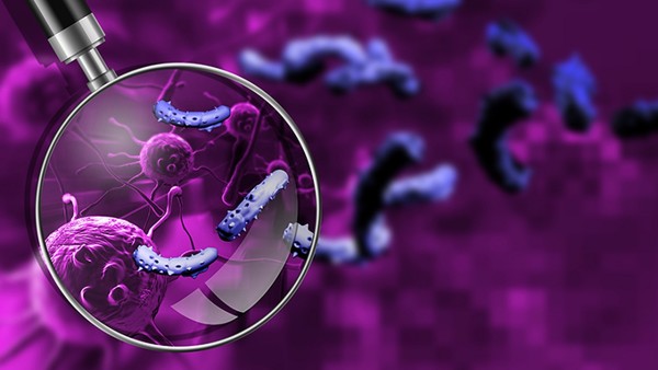 肝衰竭的免疫预防