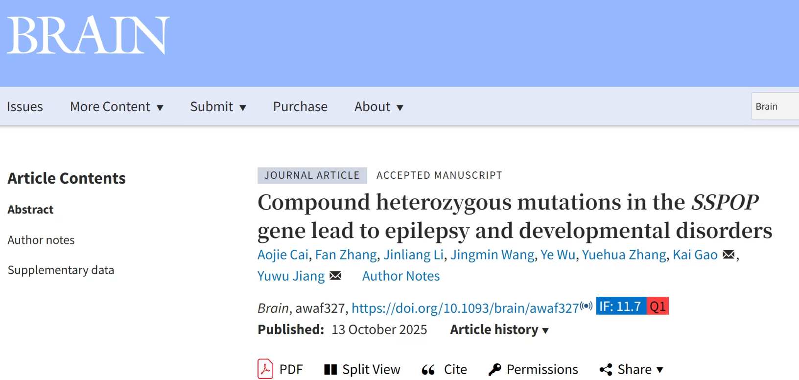 儿童癫痫与发育障碍无明确病因，家长焦虑难解