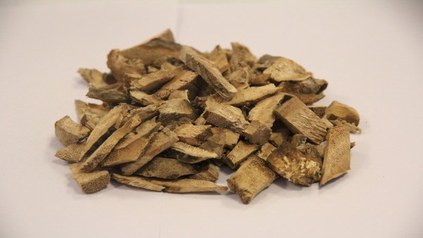 树突状细胞瘤治疗费用