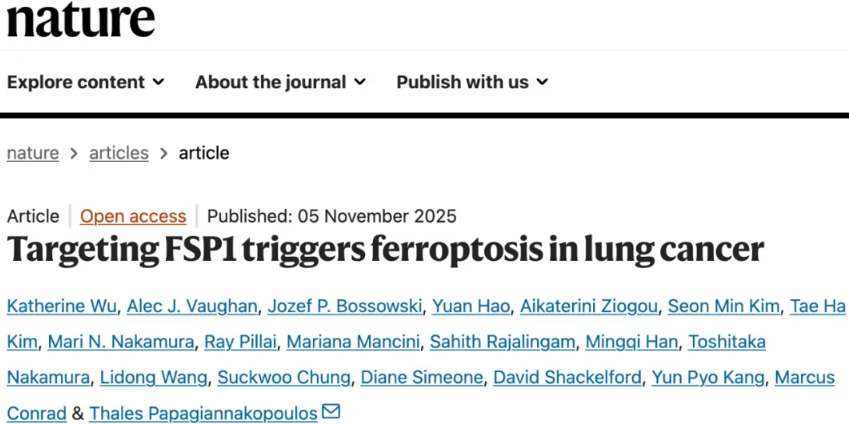 1762742464954892.png 1.png