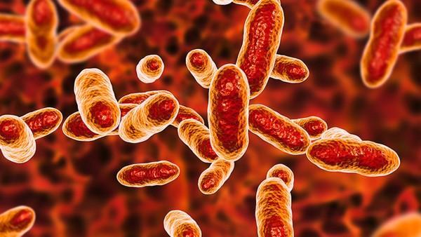 中耳炎能用抗生素治疗吗