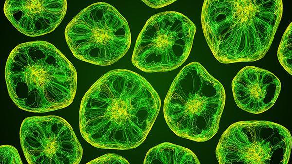 月经不调需要注意哪些作息