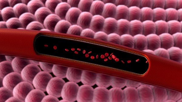 咳嗽是否与季节变化有关