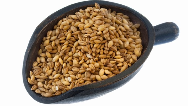 水疱如何防止感染