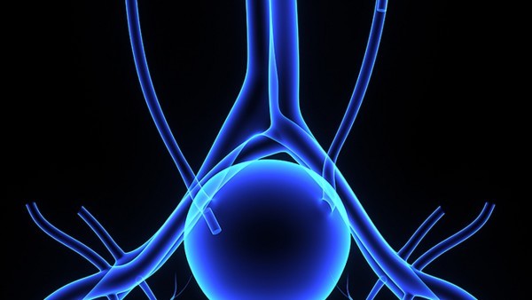 脂肪性肝硬化的饮食调理