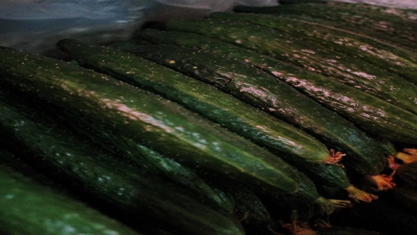 瘙痒症的防护措施