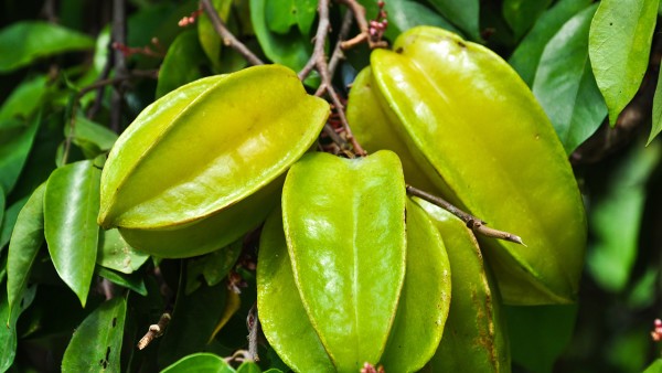 心肌梗塞患者的饮食建议