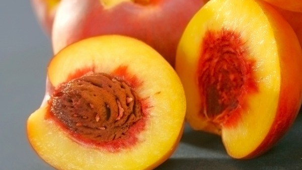 脊髓小脑变性共济失调的现代治疗手段