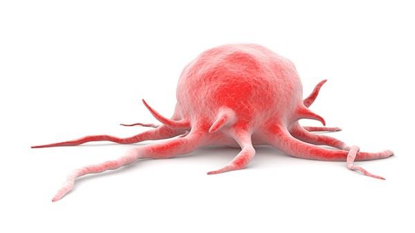 消化不良如何调整饮食习惯