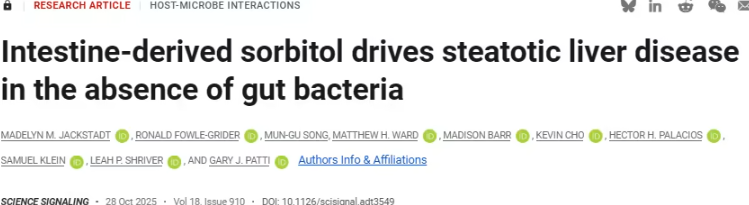 山梨糖醇：低热量食品中的隐形风险