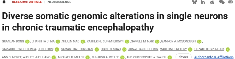 研究发现慢性创伤性脑病（CTE）与阿尔茨海默病（AD）之间的基因组共性，揭示新机制