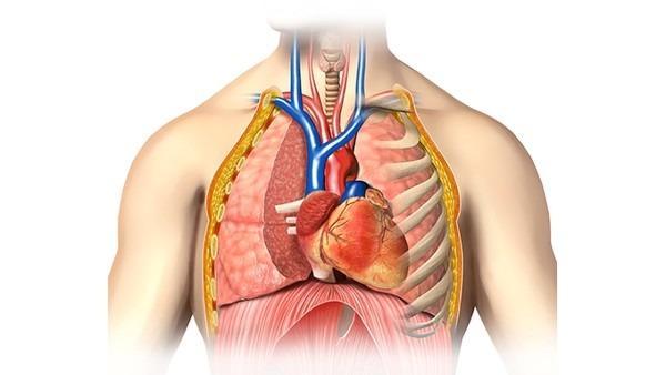 皮痹的护理注意事项