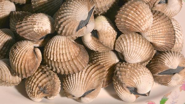 肺真菌病能通过休息加速恢复吗