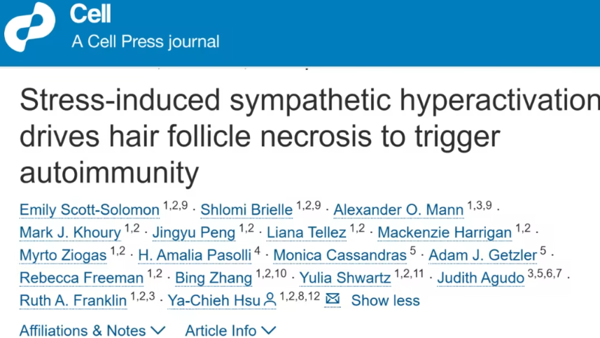 哈佛团队揭示压力诱发脱发与自身免疫反应的新机制