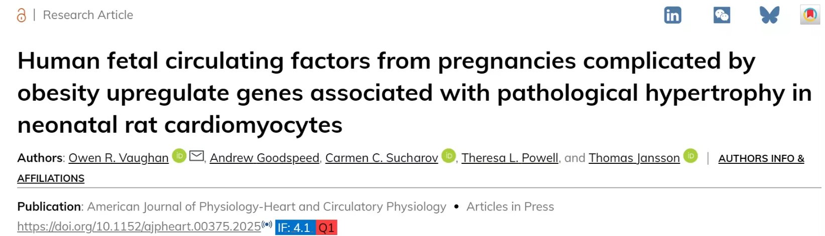 孕期肥胖或重塑宝宝心脏发育：哈佛最新研究揭示跨代健康风险机制