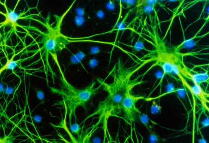 翼思生物获批盐酸索安非托片，助力阻塞性睡眠呼吸暂停患者改善日间嗜睡