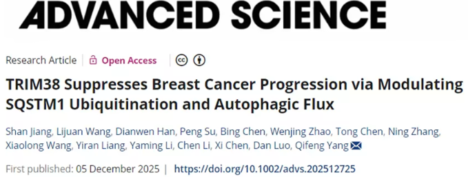 山东大学团队揭示TRIM38在乳腺癌中的新抑制机制