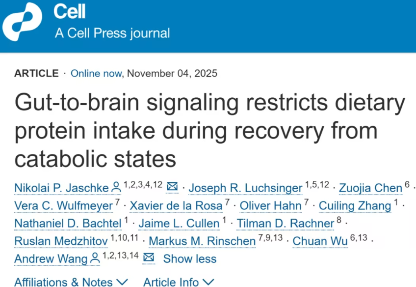 耶鲁大学重磅发现：肠-脑信号可主动限制蛋白质摄入，揭示疾病恢复期的营养调控机制