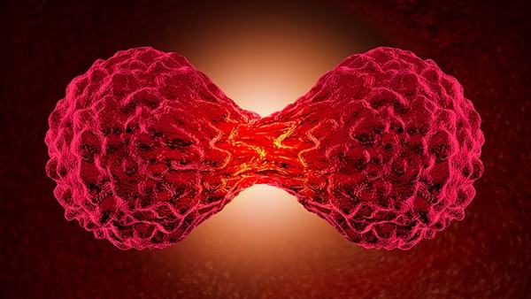 结肠癌患者心理调节