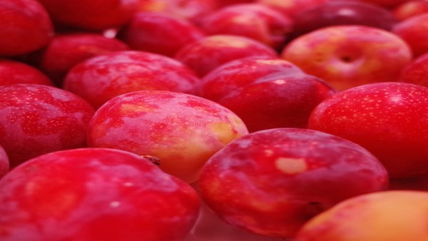 子宫息肉手术后的生活注意事项