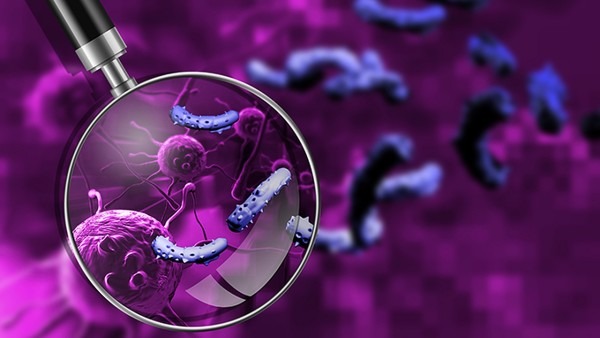 间质性肺病的复发概率